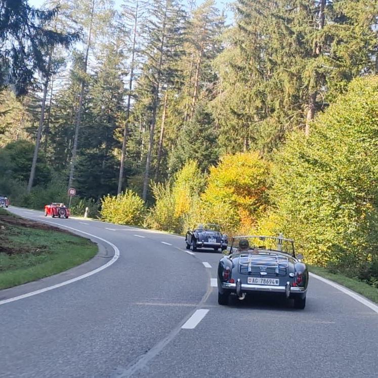 Herbst 00006